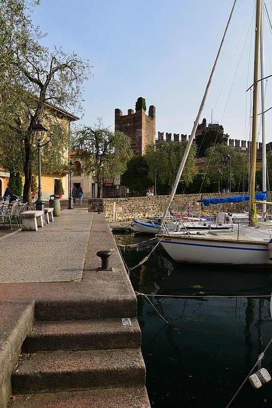 DSC_8032D.jpg