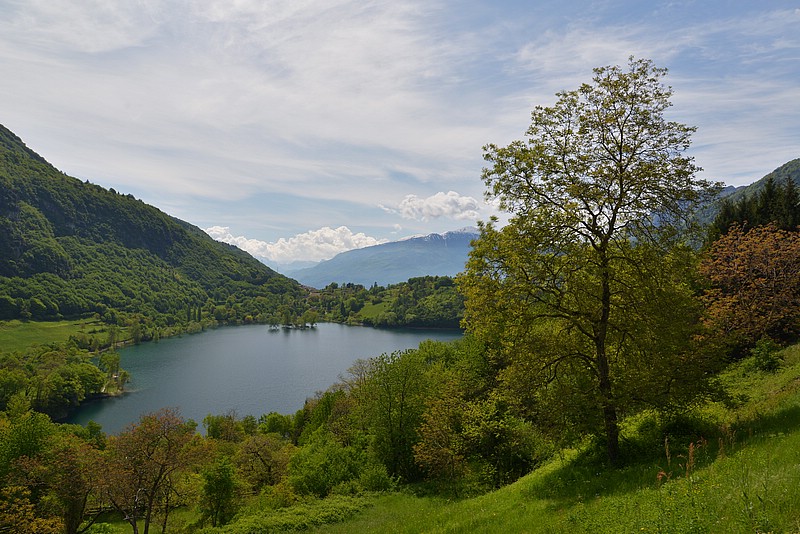 DSC_8081K.jpg