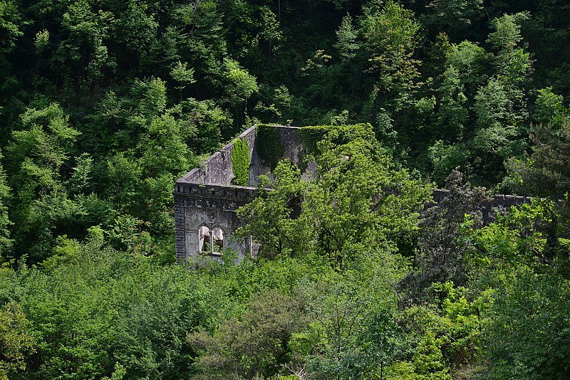 DSC_8186.JPG