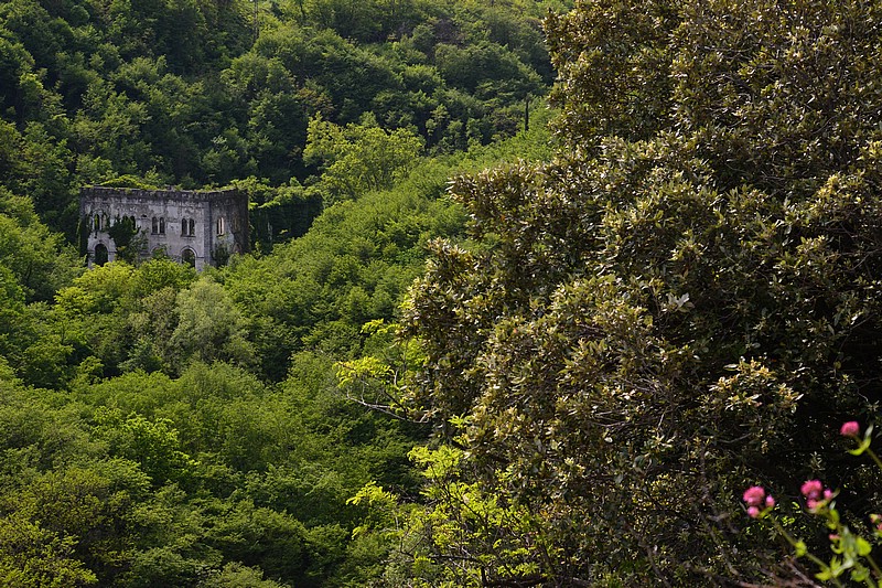 DSC_8220C.jpg