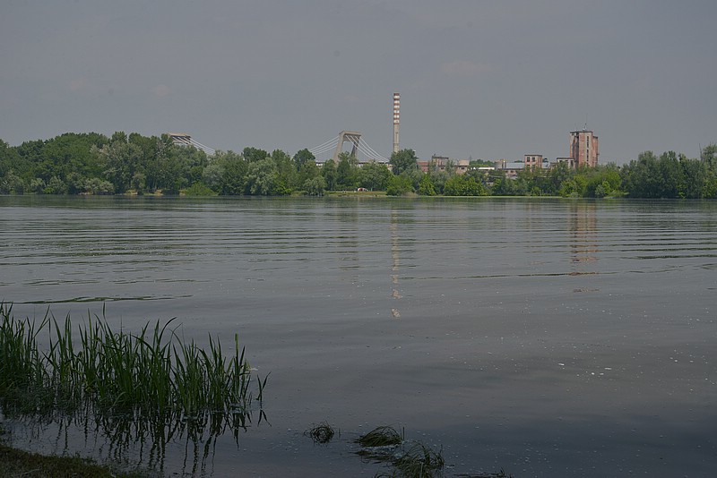 DSC_8245.JPG