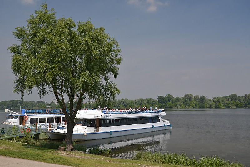 DSC_8254.JPG
