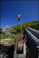 DSC_7622D.jpg