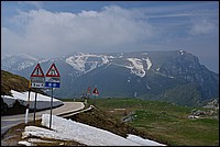 DSC_7698.JPG