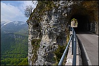 DSC_7779G.jpg