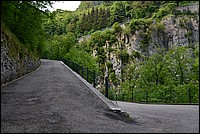 DSC_7806.JPG