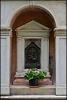 DSC_7869.JPG