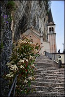 DSC_7884ES.jpg