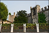 DSC_7941.JPG