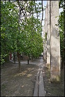 DSC_7953.JPG