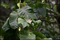 DSC_7956.JPG