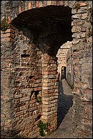 DSC_7974.JPG