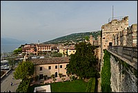 DSC_7978.JPG