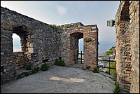 DSC_7981CoF.jpg