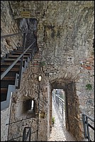 DSC_7999.JPG