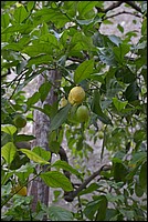 DSC_8011.JPG