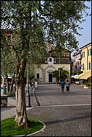 DSC_8020.JPG