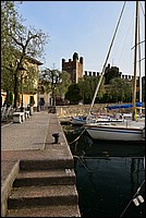 DSC_8032D.jpg