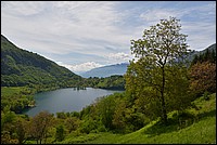 DSC_8081K.jpg