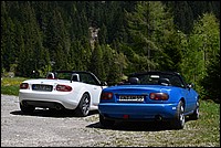 DSC_8135.JPG