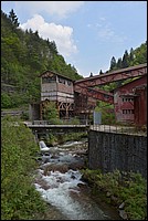 DSC_8488.JPG