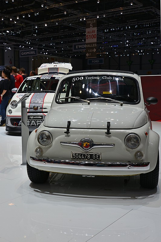 DSC_4989DG.jpg