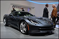 DSC_4446CDE.jpg