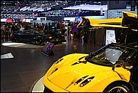 DSC_4533CDS.jpg