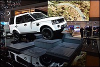DSC_5204C.jpg