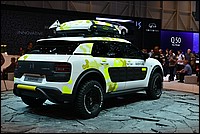 DSC_5240.JPG