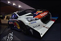 DSC_5280.JPG