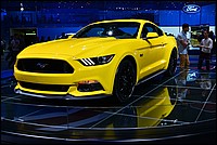 DSC_5295C.jpg