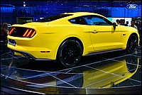 DSC_5298DG.jpg