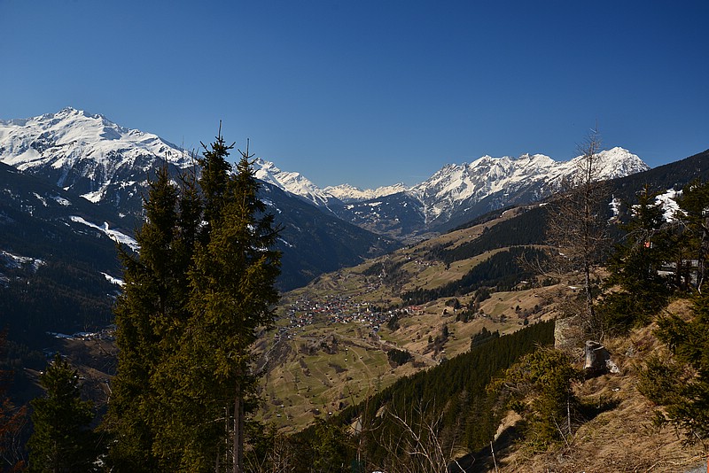 DSC_4263.JPG
