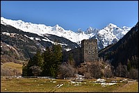 DSC_4268D.jpg