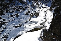 DSC_4298B.jpg