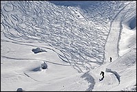 DSC_4318BC.jpg