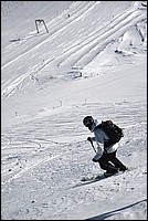 DSC_4329B.jpg