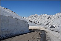 DSC_4392.JPG