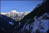 DSC_4402BFG.jpg