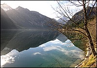 IMG_1401.jpg