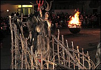 IMG_2535.jpg