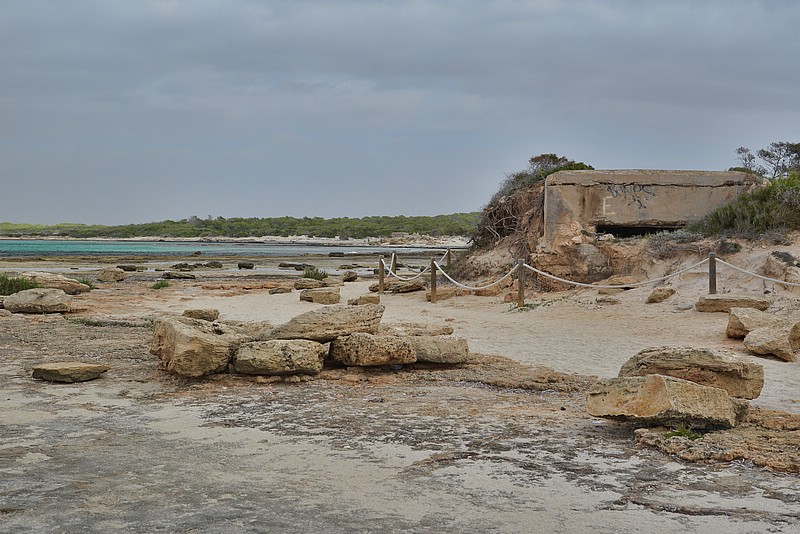 DSC_7465_RAW_TA.jpg