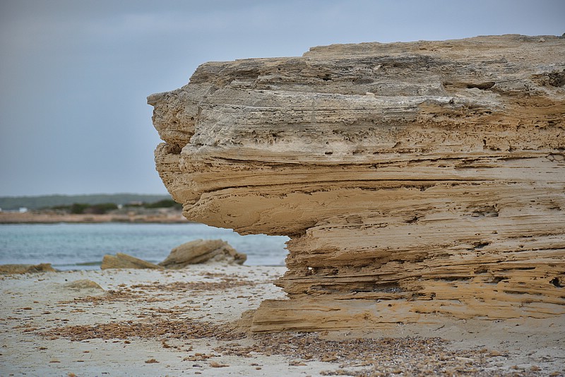 DSC_7479_TA.jpg