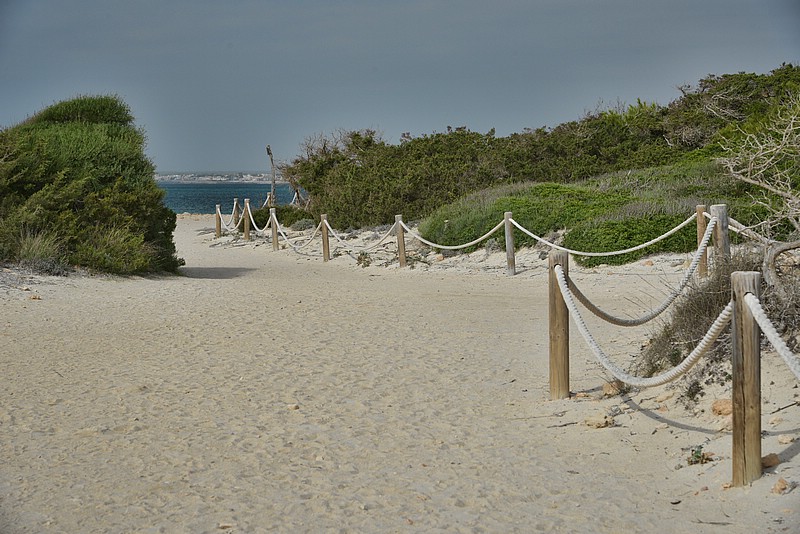 DSC_7497_TA.jpg