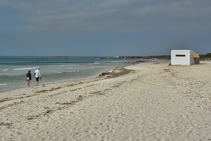 DSC_7589_TA.jpg