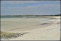 DSC_7533_TA.jpg