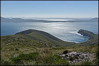 DSC_7907C_RAW.jpg