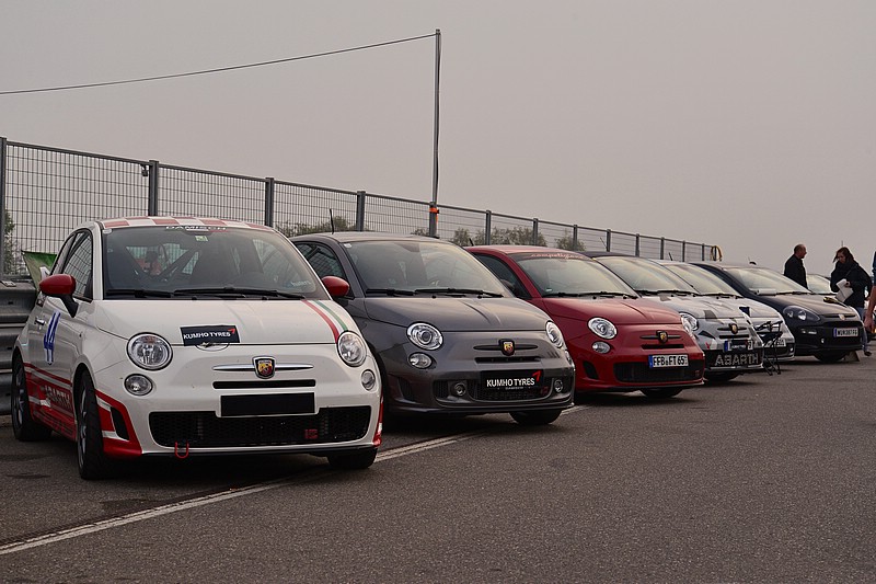 DSC_6299DG.jpg