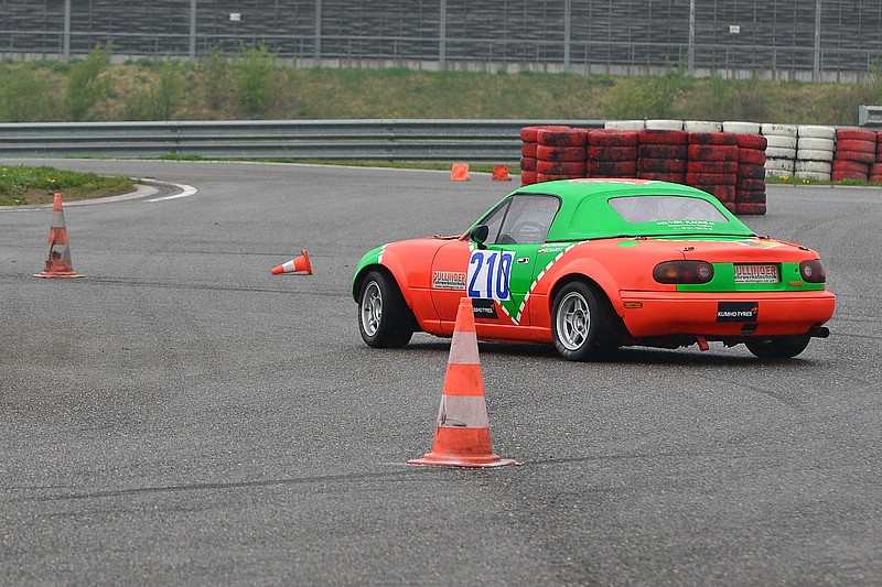 DSC_6767C.jpg